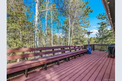 638 Impala Trail, Bailey, CO 80421 - Photo 28