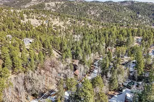 638 Impala Trail, Bailey, CO 80421 - Photo 42