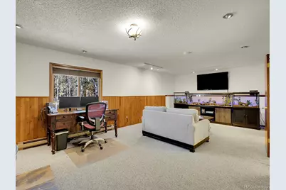 638 Impala Trail, Bailey, CO 80421 - Photo 22