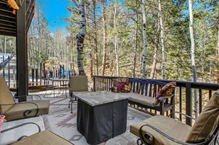 638 Impala Trail, Bailey, CO 80421 - Photo 38