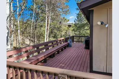 638 Impala Trail, Bailey, CO 80421 - Photo 32