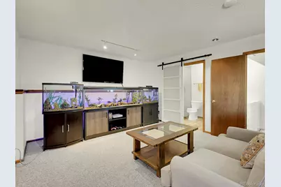 638 Impala Trail, Bailey, CO 80421 - Photo 28