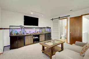 638 Impala Trail, Bailey, CO 80421 - Photo 28