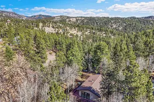 638 Impala Trail, Bailey, CO 80421 - Photo 46