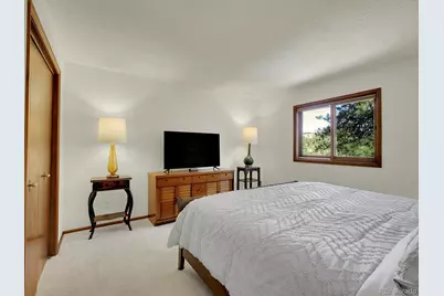 638 Impala Trail, Bailey, CO 80421 - Photo 18