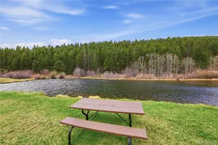 4718 Co Rd 72, Bailey, CO 80421 - Photo 48