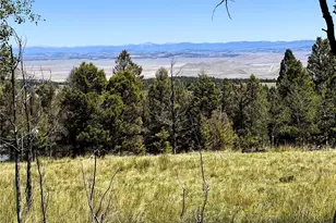 110 Kaufman Ct, Hartsel, CO 80449 - Photo 1
