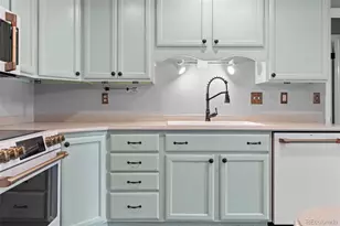 7154 S Pennsylvania St, Littleton, CO 80122 - Photo 8
