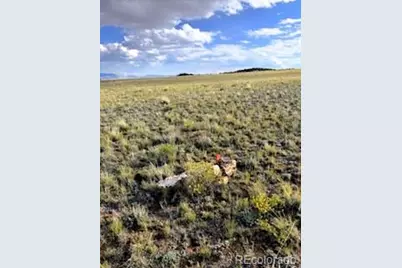 599 Summit Road, Hartsel, CO 80449 - Photo 6