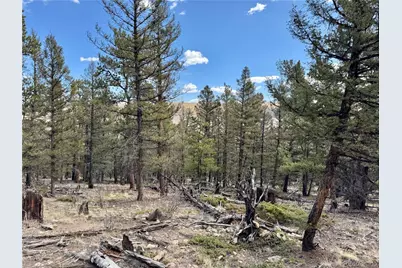 2601 Redhill Road, Fairplay, CO 80440 - Photo 20