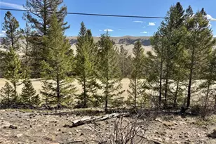 2601 Redhill Rd, Fairplay, CO 80440 - Photo 1