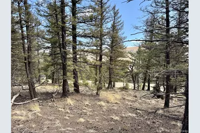 2601 Redhill Road, Fairplay, CO 80440 - Photo 2