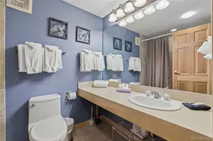 535 South Park Avenue, Breckenridge, CO 80424 - Photo 14