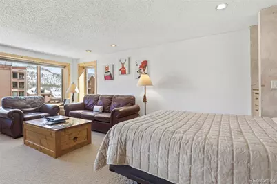 535 S Park Avenue #505, Breckenridge, CO 80424 - Photo 12