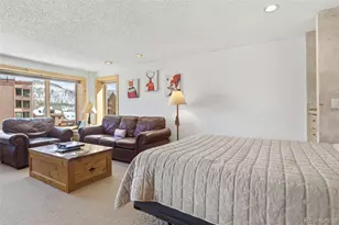 535 South Park Avenue, Breckenridge, CO 80424 - Photo 12