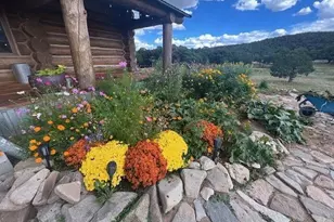 484 Gordon Dr, Walsenburg, CO 81089 - Photo 6