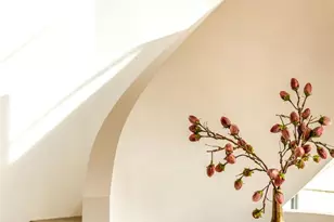 404 Kearney St, Denver, CO 80220 - Photo 4