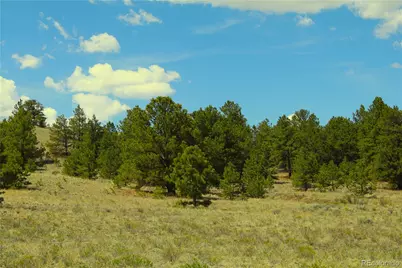 60 Hill Road, Hartsel, CO 80449 - Photo 2