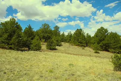 60 Hill Road, Hartsel, CO 80449 - Photo 8