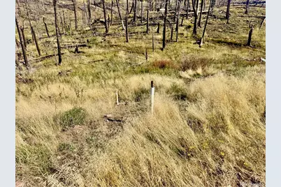 Lot 1005 Foy Place, Fort Garland, CO 81133 - Photo 12