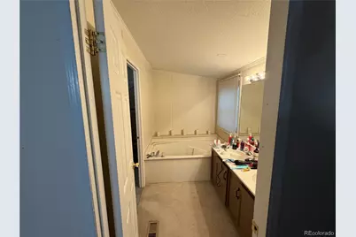 131 Dillon Lane, Florissant, CO 80816 - Photo 8