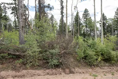 Lot 2614 Petito Drive, Fort Garland, CO 81133 - Photo 6