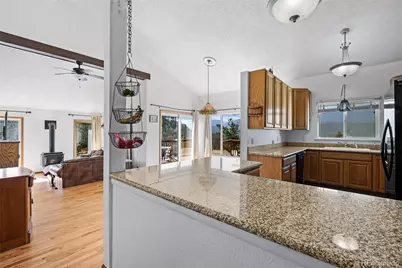 1729 Crow Valley Road, Bailey, CO 80421 - Photo 14