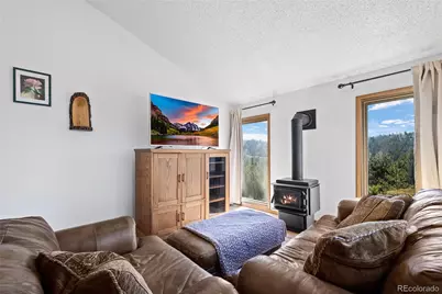 1729 Crow Valley Road, Bailey, CO 80421 - Photo 20