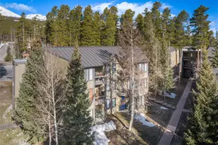 1179 Ski Hill Rd, Breckenridge, CO 80424 - Photo 28