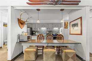 1179 Ski Hill Rd, Breckenridge, CO 80424 - Photo 8