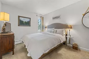 1179 Ski Hill Rd, Breckenridge, CO 80424 - Photo 14