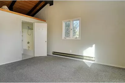 31320 County Road 384 A, Buena Vista, CO 81211 - Photo 16