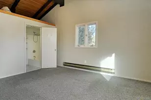 31320 Co Rd 384A, Buena Vista, CO 81211 - Photo 16