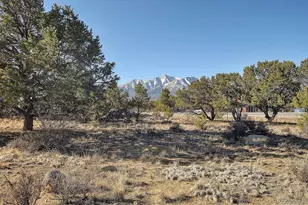 31320 Co Rd 384A, Buena Vista, CO 81211 - Photo 2