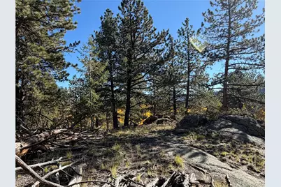 184 Spruce Drive, Guffey, CO 80820 - Photo 18