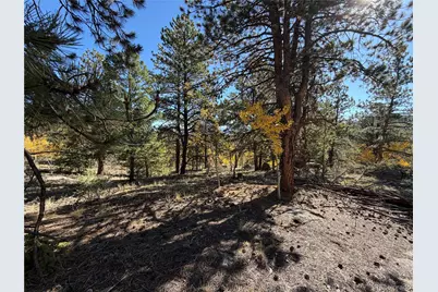 184 Spruce Drive, Guffey, CO 80820 - Photo 16