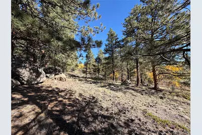184 Spruce Drive, Guffey, CO 80820 - Photo 14