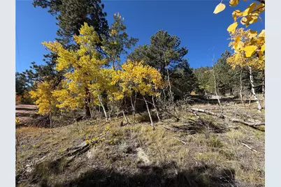184 Spruce Drive, Guffey, CO 80820 - Photo 10