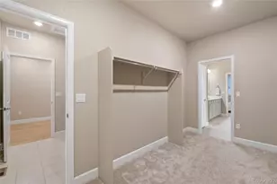 3844 Sandy Vista Ln, Castle Rock, CO 80104 - Photo 12