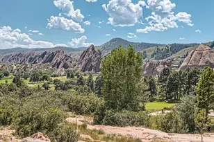 8995 Yellowcress St, Littleton, CO 80125 - Photo 4