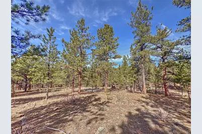 426 Arapaho Road, Westcliffe, CO 81252 - Photo 28