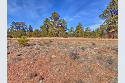 426 Arapaho Road, Westcliffe, CO 81252 - Photo 4