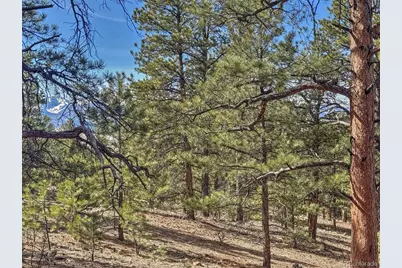426 Arapaho Road, Westcliffe, CO 81252 - Photo 20