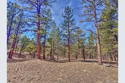 426 Arapaho Road, Westcliffe, CO 81252 - Photo 18