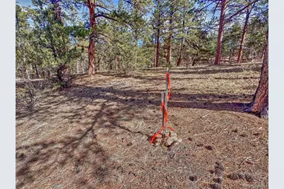 426 Arapaho Road, Westcliffe, CO 81252 - Photo 16
