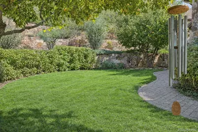 1053 Night Sky Court, Castle Rock, CO 80108 - Photo 20