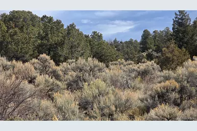Lot 1628 Hidalgo Road, San Luis, CO 81152 - Photo 6