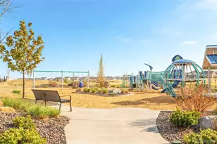 14047 Rock Daisy St, Parker, CO 80134 - Photo 30