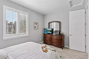 3640 Penang Dr, Castle Rock, CO 80109 - Photo 28