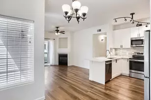 1148 Opal St, Broomfield, CO 80020 - Photo 14